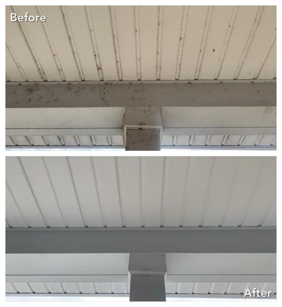 Paver Cleaning Before & After in Denver, NC & Lake Norman — Stand Out Exterior Cleaning